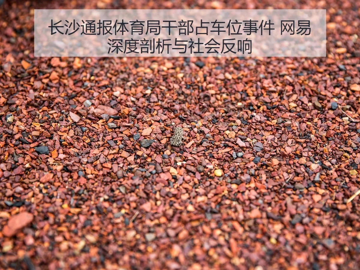 长沙通报体育局干部占车位事件 网易深度剖析与社会反响