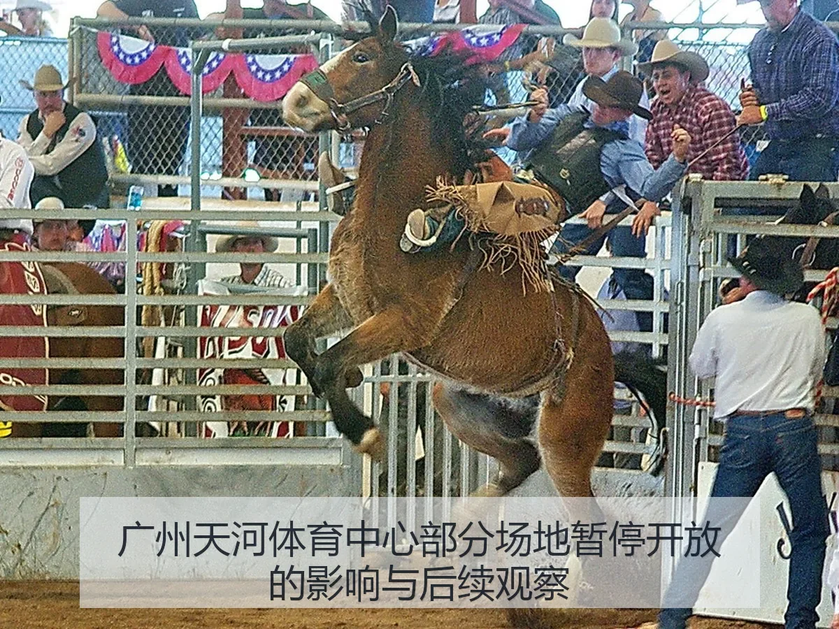 广州天河体育中心部分场地暂停开放的影响与后续观察