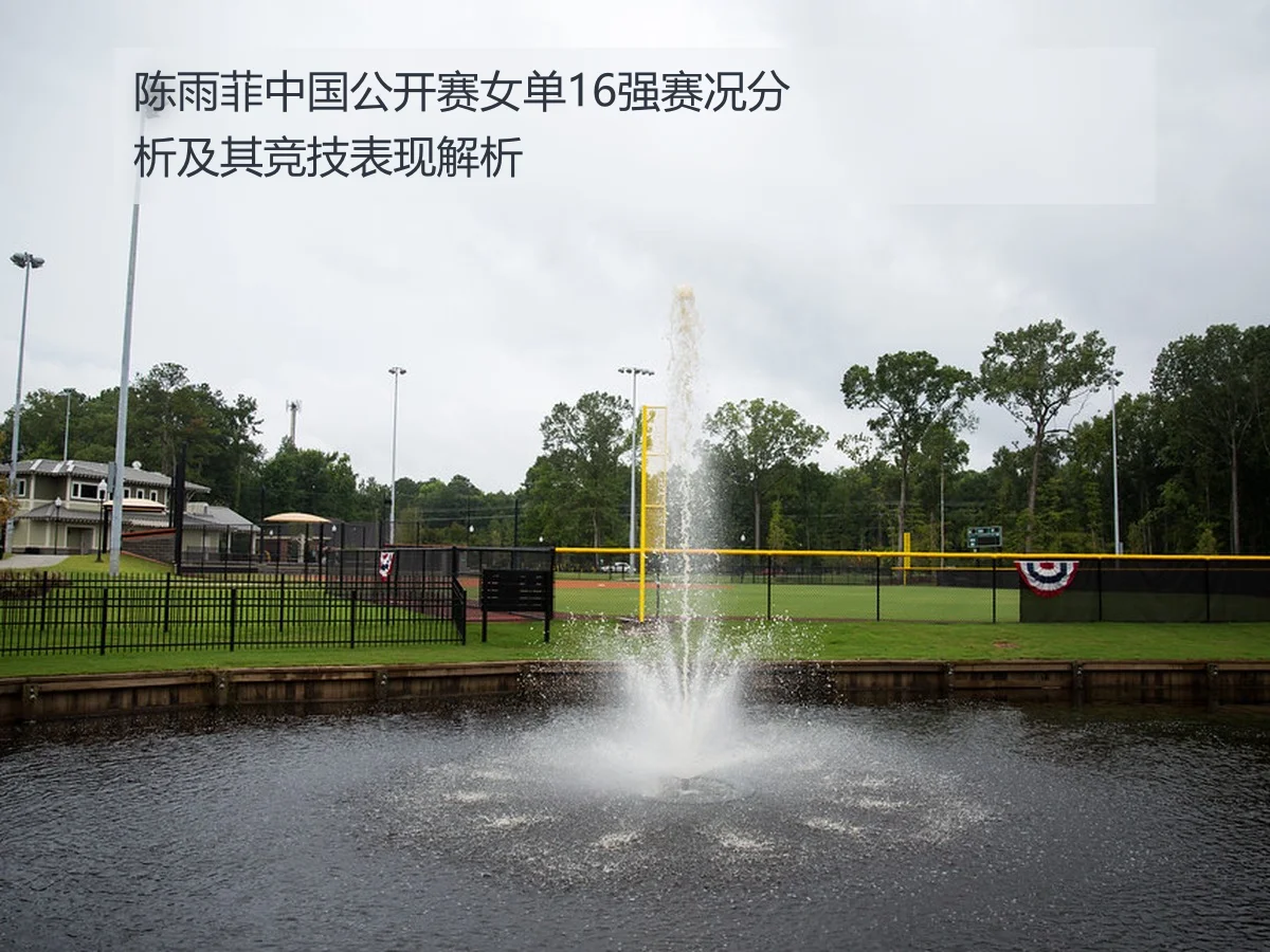 陈雨菲中国公开赛女单16强赛况分析及其竞技表现解析
