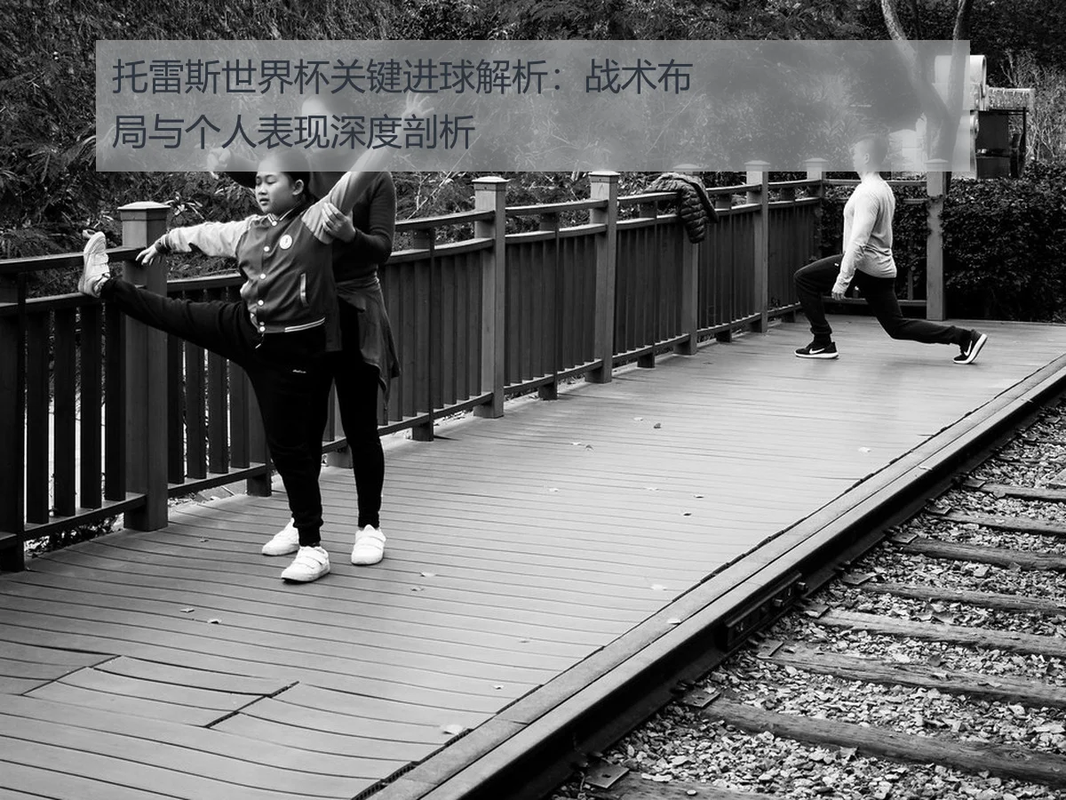 托雷斯世界杯关键进球解析：战术布局与个人表现深度剖析